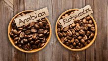 Coffee Basics – Types of coffee beans