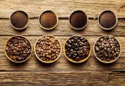 Coffee Basics – What is the difference in coffee roasting?